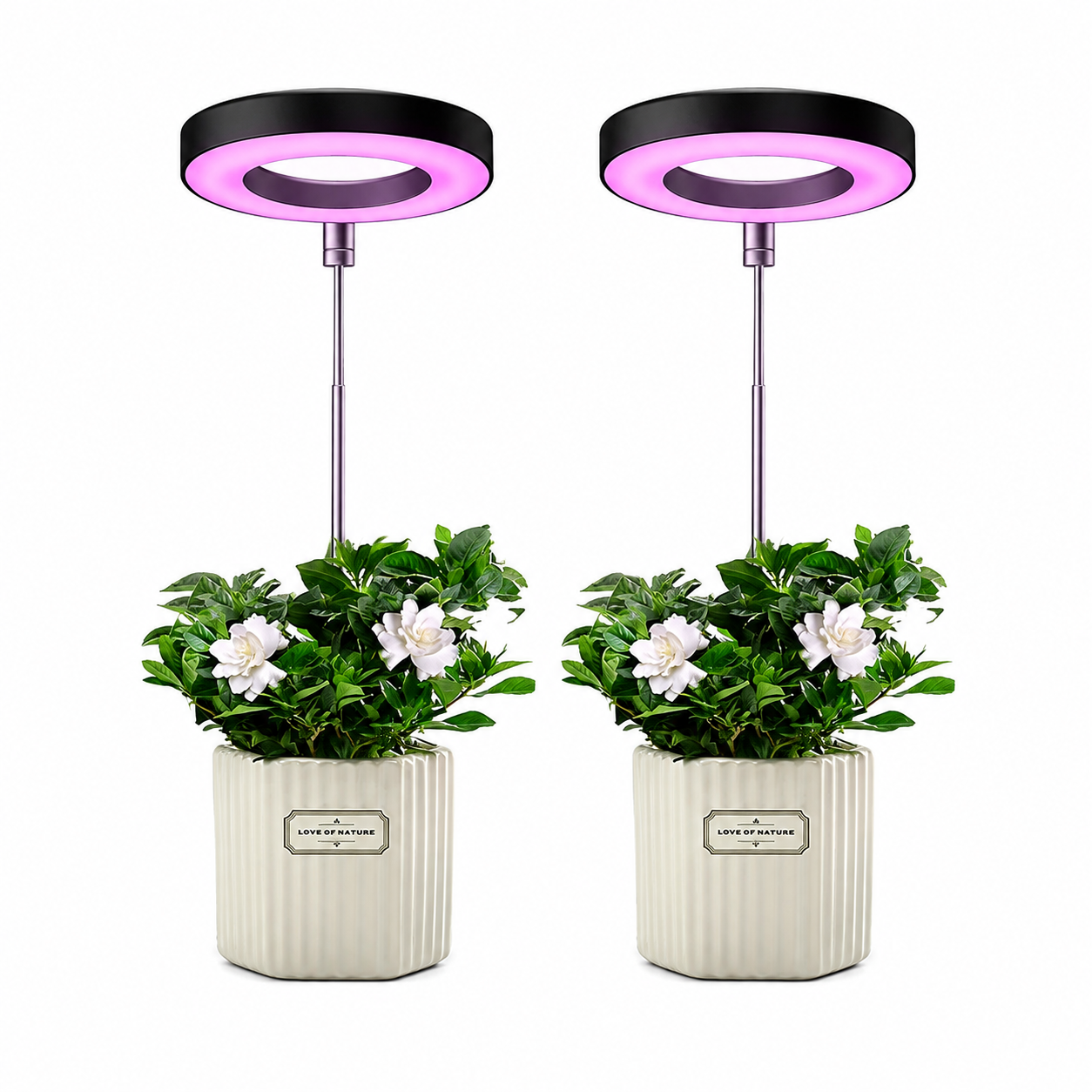 Indoor Plant Growth Lamp