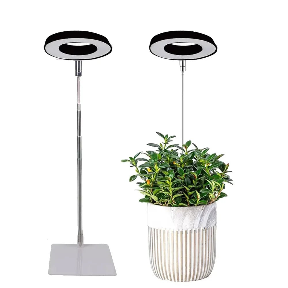 Indoor Plant Growth Lamp