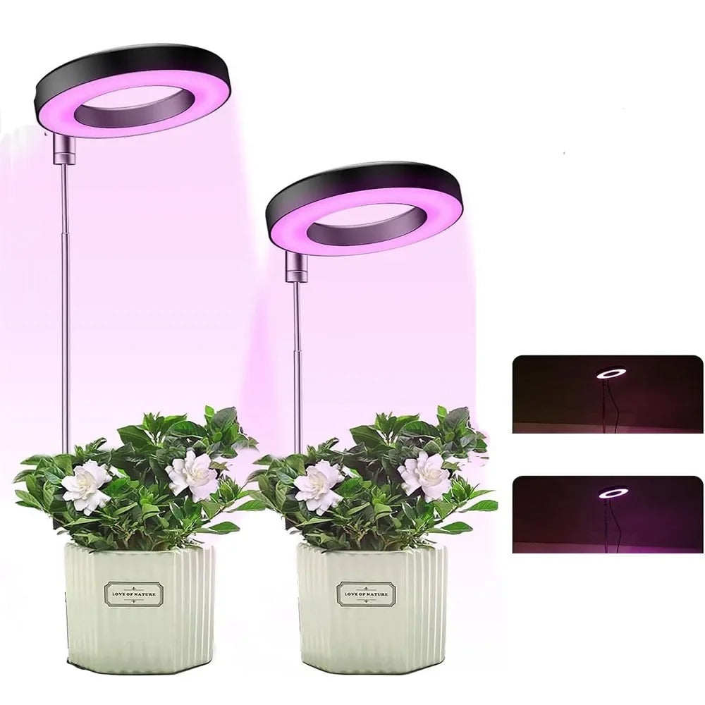 Indoor Plant Growth Lamp