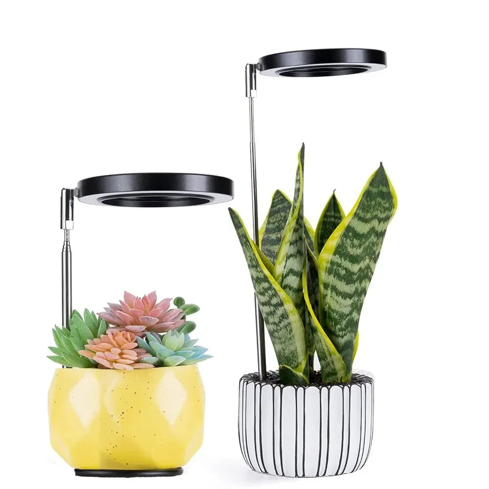 Indoor Plant Growth Lamp