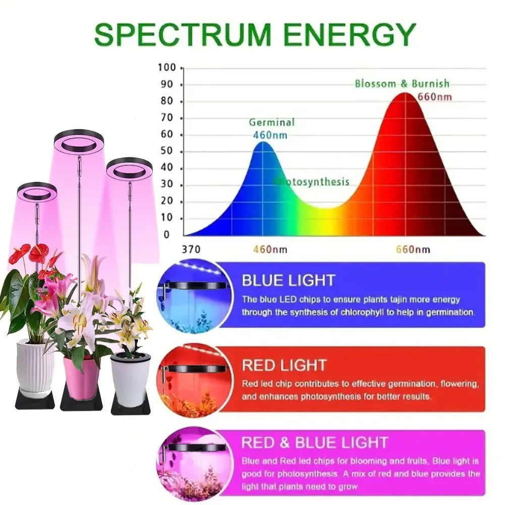 Indoor Plant Growth Lamp